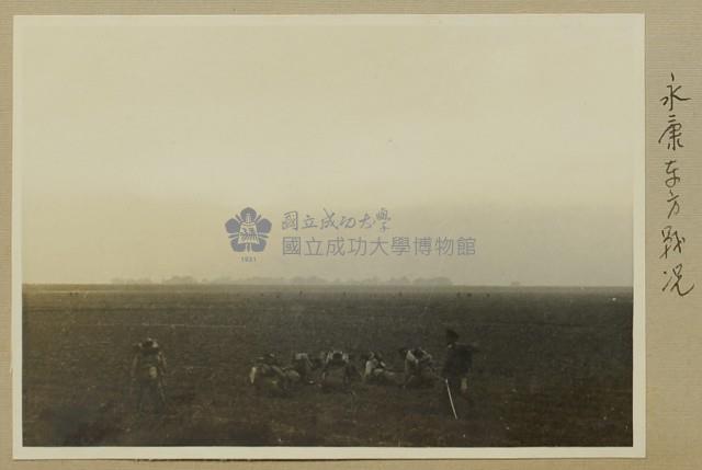 昭和14年-於大灣永康附近野外軍事訓練-永康東方戰況藏品圖，第1張