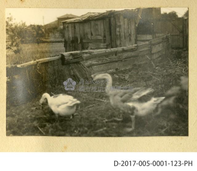 Accession Number:2017-005-0001-123 Collection Image