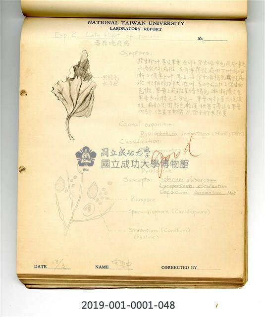 Late blight of tomato Collection Image