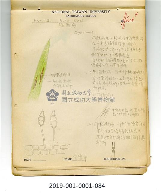 Rice blast Collection Image