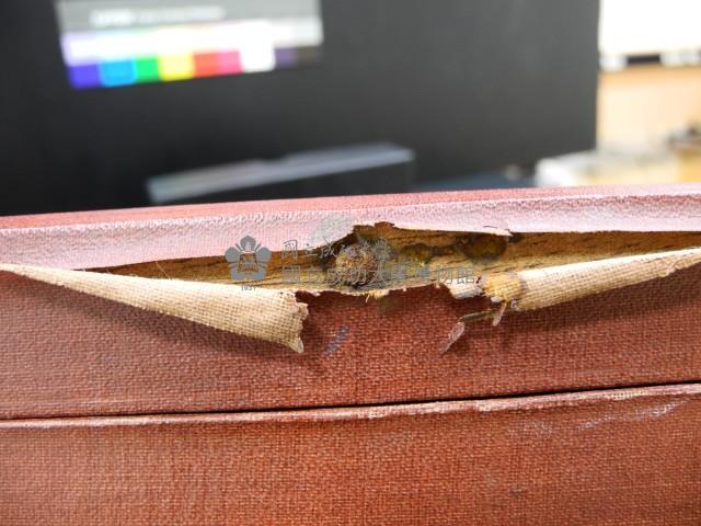 鏡頭組藏品圖，第13張