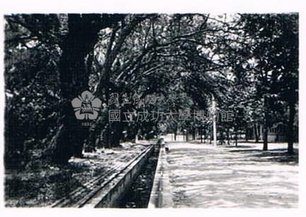 成功大學水工試驗所前的水槽藏品圖，第1張