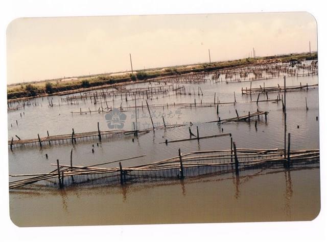 鹿耳門天后宮附近的魚塭藏品圖，第1張