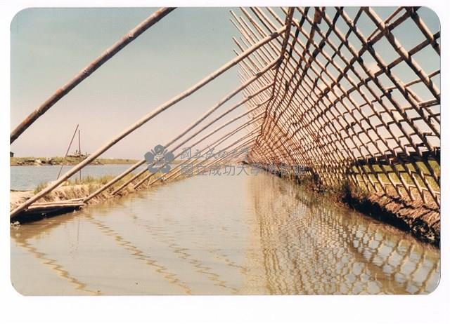 鹿耳門天后宮附近的魚塭藏品圖，第1張