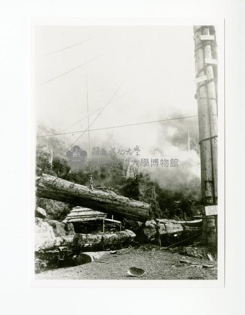 阿里山木材吊掛藏品圖，第1張