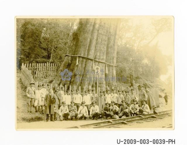 臺南州立臺南工業專修學校師生於阿里山神木前合照藏品圖，第1張