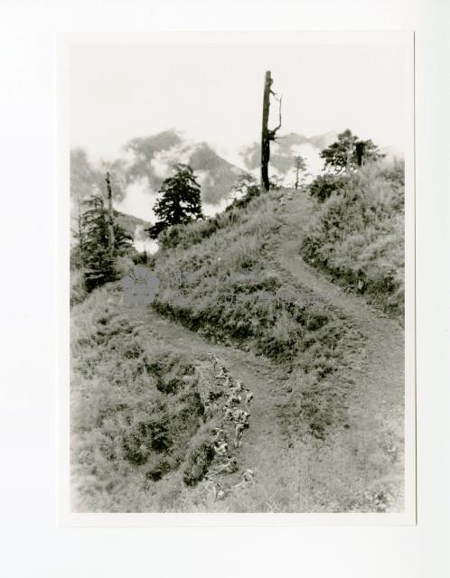 阿里山軍事演習模擬作戰藏品圖，第1張