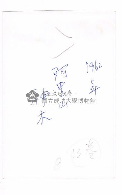 阿里山神木藏品圖，第2張