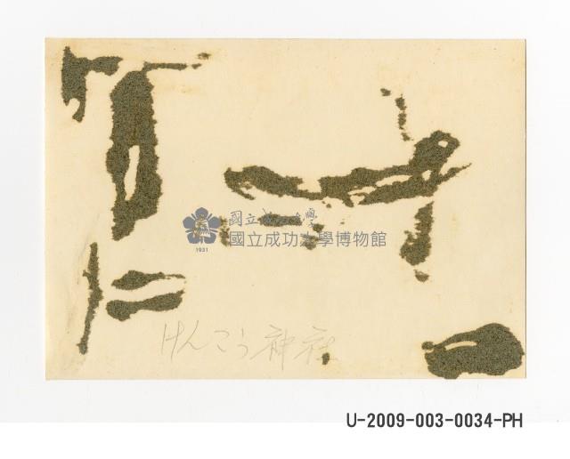 臺南寶公學校師生於建功神社前合照藏品圖，第2張