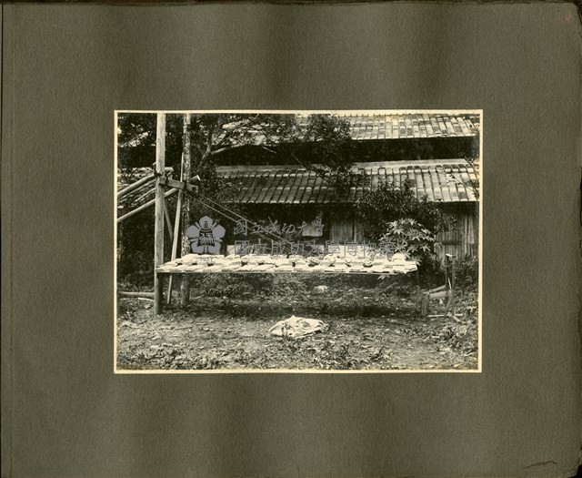 《王助相簿》沙袋法藏品圖，第1張