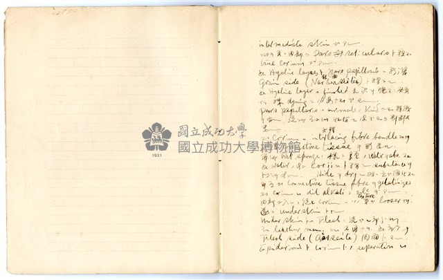 馮全裕《皮革》課堂筆記藏品圖，第4張