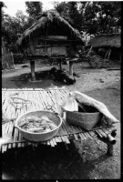 〈山家雜糧〉藏品圖，第1張