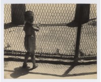 〈夏日〉藏品圖，第1張