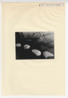 作品集第一冊：〈路〉四幅之三藏品圖，第1張