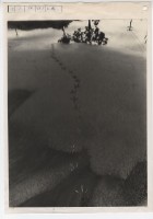 作品集第一冊：〈路〉四幅之四藏品圖，第1張