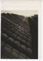 作品集第三冊：曬物藏品圖，第1張