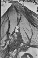 李悌欽135底片卷2-32藏品圖，第1張