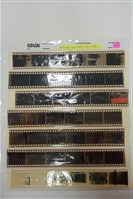 李悌欽135底片卷4藏品圖，第1張