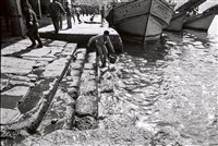 李悌欽135底片卷31-02藏品圖，第1張
