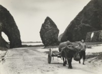 〈拉牛車的少女〉藏品圖，第1張
