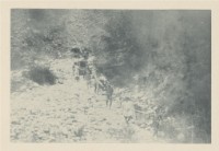 《台灣和澎湖群島的回憶》科羅版印刷寫真帖-圖像14藏品圖，第1張