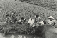 〈牧歌〉藏品圖，第1張
