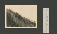 臺灣寫真大觀(山岳編)29藏品圖，第1張
