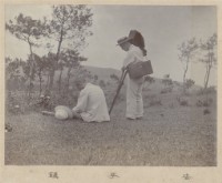 寫真帖(綠皮)33藏品圖，第1張