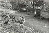 堤防人家藏品圖，第1張