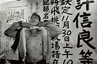 迎接許信良藏品圖，第1張