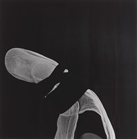 窺(body bounding)藏品圖，第1張