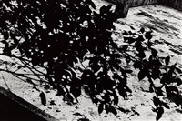 《迢迢路》藏品圖，第1張