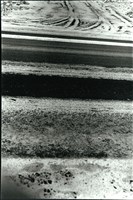 《迢迢路》藏品圖，第5張