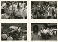 〈豬公〉四連作藏品圖，第1張