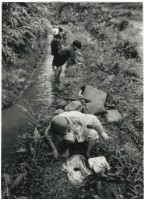 〈摸蛤仔兼洗褲〉藏品圖，第1張