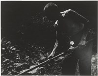《汗流脈絡》系列1藏品圖，第1張