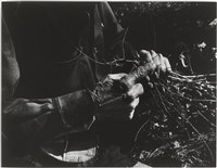 《汗流脈絡》系列7藏品圖，第1張