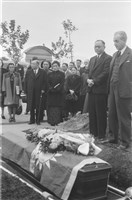 吳紹同135底片57-11藏品圖，第1張