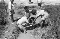 吳紹同135底片264-14藏品圖，第1張