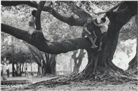 《快門時機》系列：〈台中公園〉藏品圖，第1張