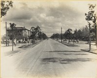 戰後高雄街景：中山一路、中正四路系列3：中正四路臺灣銀行前藏品圖，第1張