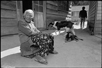 《賽德克靜觀》系列：〈平生〉藏品圖，第1張