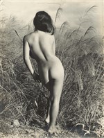 林絲緞藏品圖，第1張