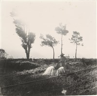 風樹水珠藏品圖，第1張