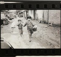 邱德雲印樣2藏品圖，第11張