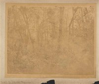 正面：福爾摩沙森林、背面：黃藤及烏木藏品圖，第2張