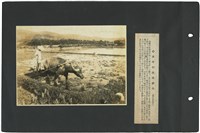 臺灣寫真通信 圖版19 水牛耕田（臺北市郊外）藏品圖，第1張