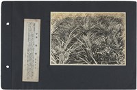 臺灣寫真通信 圖版60 鳳梨田（高雄州轄下）藏品圖，第1張