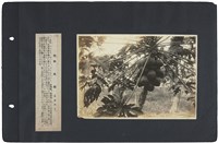 臺灣寫真通信 圖版78 木瓜樹（高雄州轄下）藏品圖，第1張