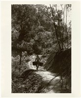 〈北溝後山小徑〉藏品圖，第1張